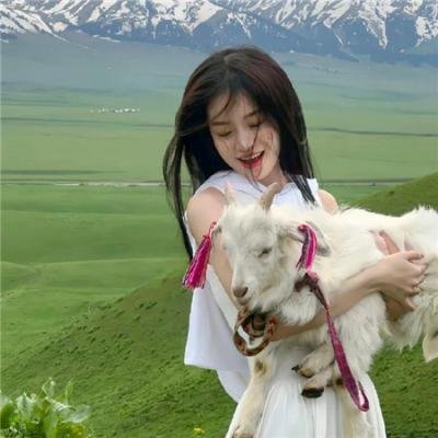 饥饿的狮子